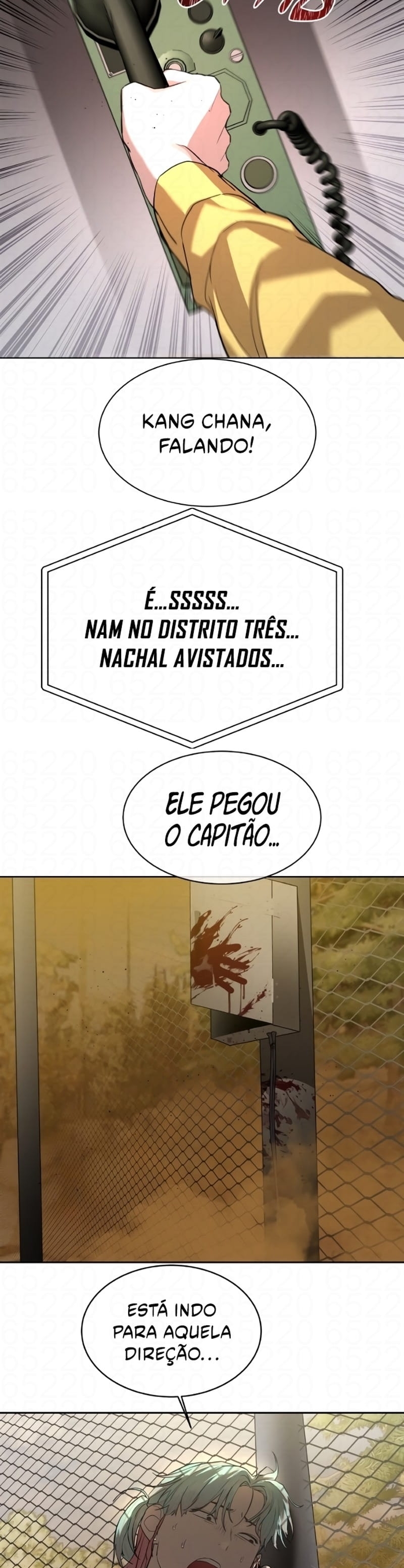 Página 31