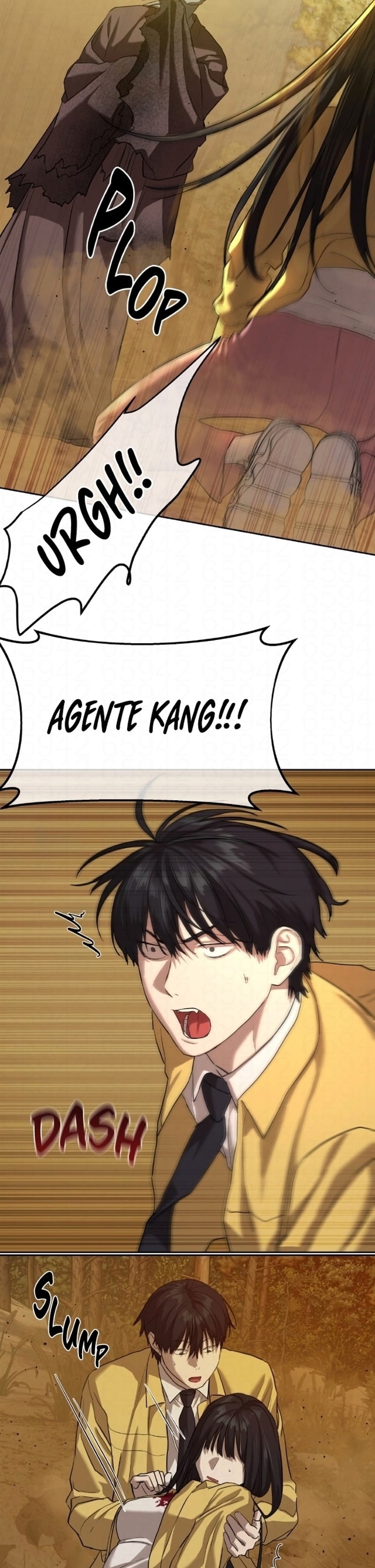 Página 17